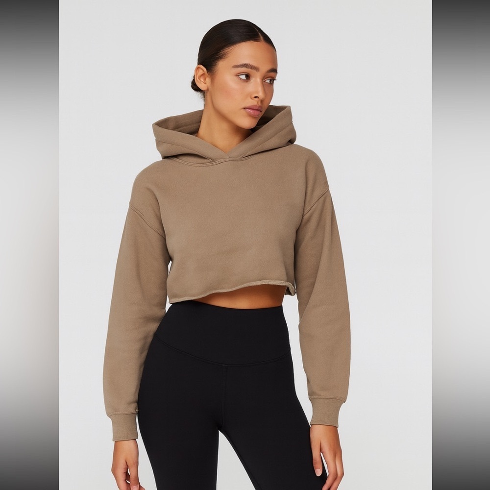 Aritzia cropped hoodie